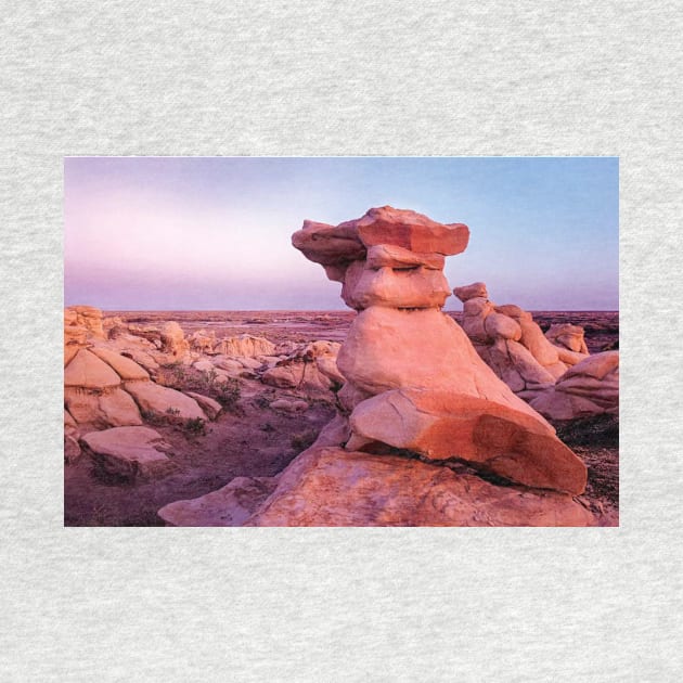 Rock Formations Bisti Badlands by AinisticGina